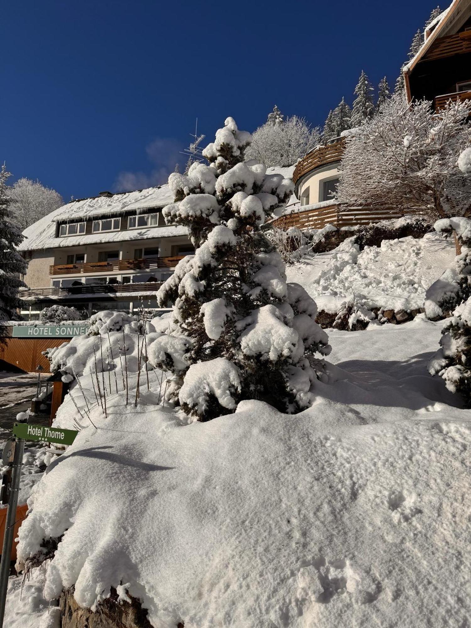 Hotel Sonnenberg Hinterzarten Exterior foto